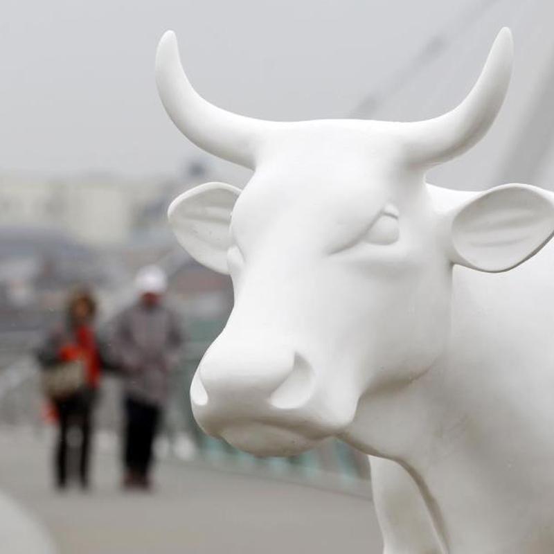 Cow Parade NI